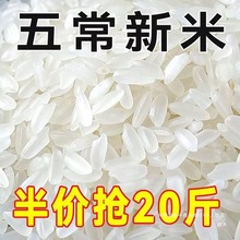 五常稻香米2024年新米五常大米10斤20斤特产东北大米好吃不贵群木