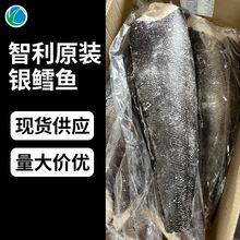 �y�L�~���r����������������y�L�~�oʳ�������l�������Ȯ���~