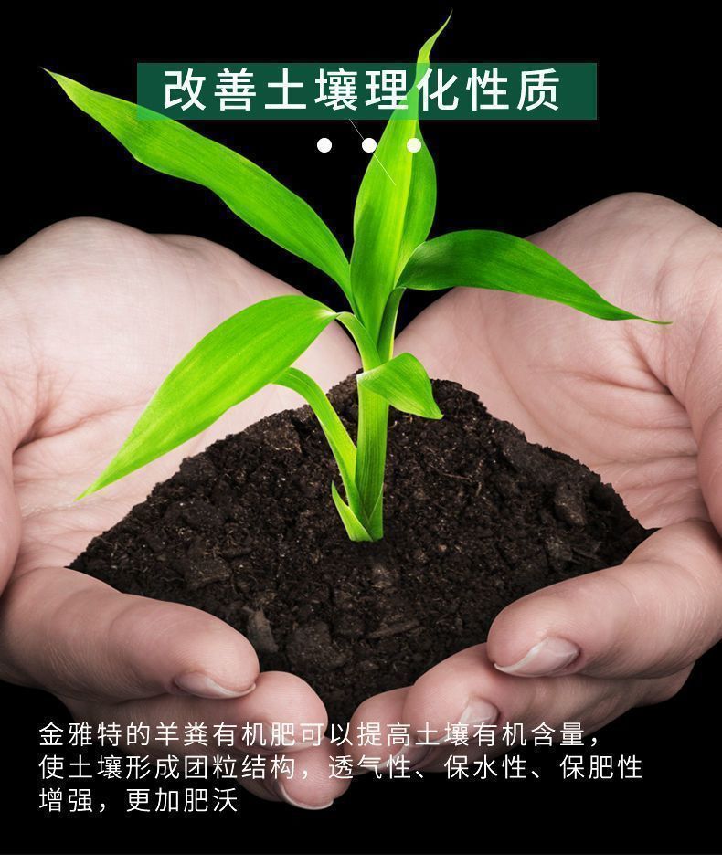 8e4e664d-1028-477e-ba37-fb10826eaf17.jpe