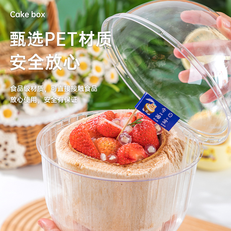 Factory Direct Selling Coconut Jelly Packing Box Transparent Vacuum Formed Box Spherical Packing Coconut Milk Jelly Packaging Box Coconut Husk Heightened Box