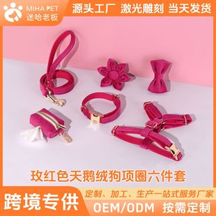 ���Z�q���ֿ羳������Ȧ�\�Ͻ�����Q�¿����l��СȮ�͹���