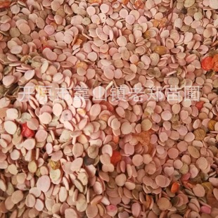 Seed Industry Wholesale Tianmu Qionghua Seeds, Chicken Tree Strips, Pods, Tree Seeds, Seedlings, Northeastern Buddha Head Flower Saplings, Germ