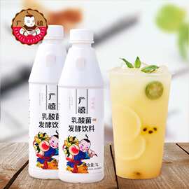 广禧乳酸菌PLUS 1L 浓缩优格发酵饮品益菌多益生菌饮料奶茶原料