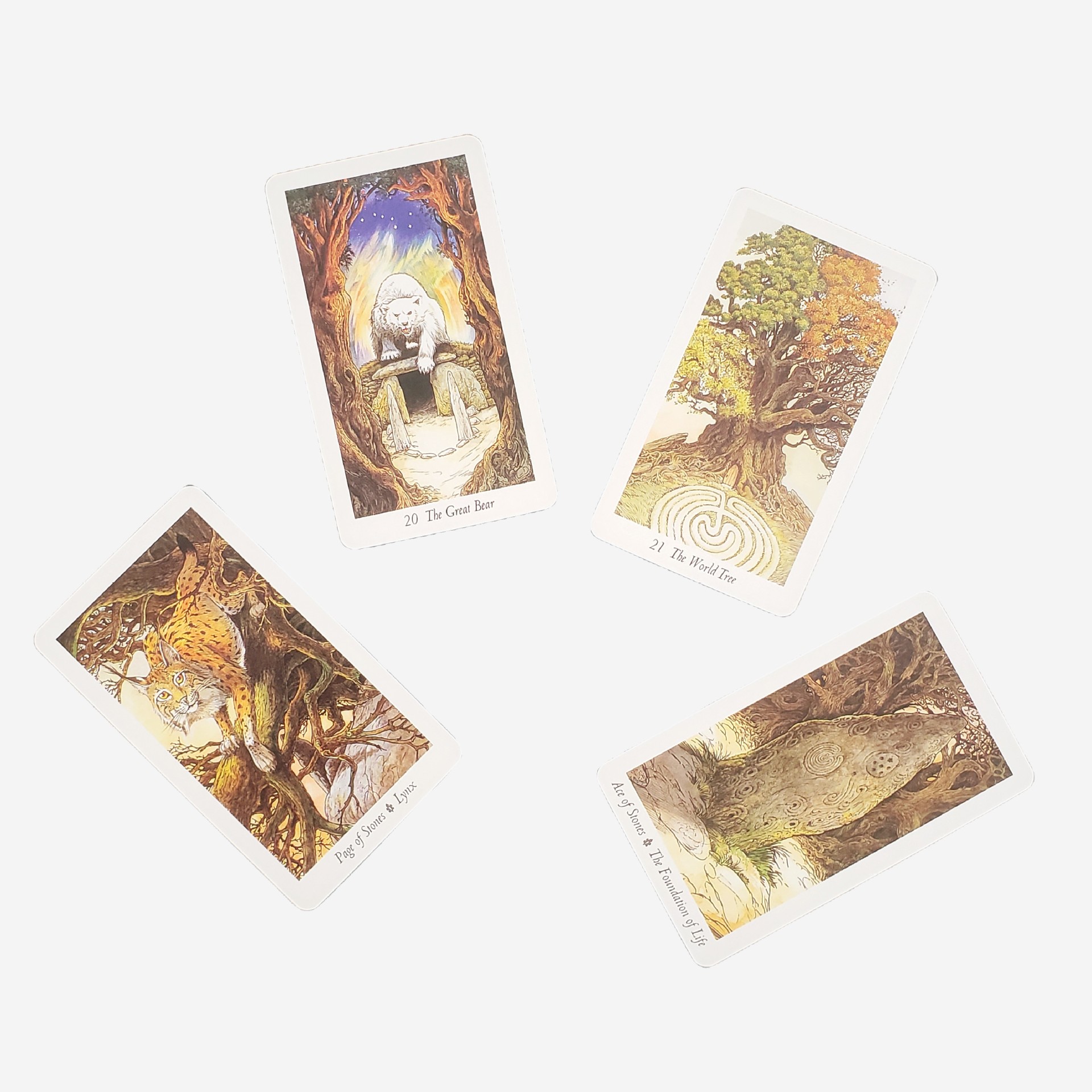2023 Nuove carte da gioco di tarocchi Wild Wood Natural Primitive Forest - Articolo di tendenza transfrontaliero_voghion.com