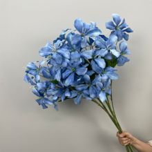 ?��c����Y�ñ����b�ˇ�F���{ɫ����õ��ĵ���ٻ��͏d�[