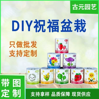 定制毕业礼物 DIY儿童盆栽盲盒办公室绿植盆栽迷你桌面种植盆栽