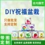 毕业桌面定制办公室绿植