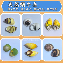 ��Ȼ����ؐ���Sɫ������΁ţ���˱��ղ��ݼľ�з��Q���~���쾰