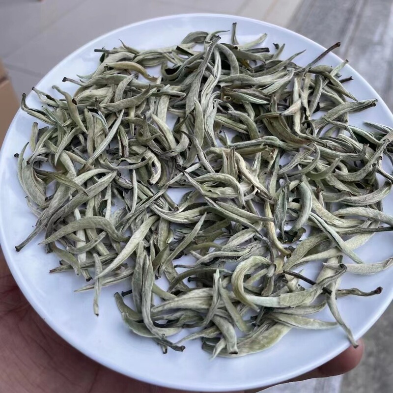 2026 Yunnan Ancient Tree Pre-Harvest White Tea, White Silver Needle New Tea, Spring Tea, Jinggu Large White Bud Single Bud Moonlight White 2026 Yunnan Ancient Tree Pre-Harvest White Tea, White Silver Needle New Tea, Spring Tea, Jinggu Large White Bud Single Bud Moonlight White