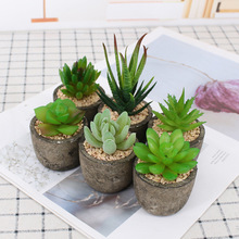 ����������� �ɽ���͹ż��{�� ����Gֲ�辰���R�d�羳�M�Ϲ�؛