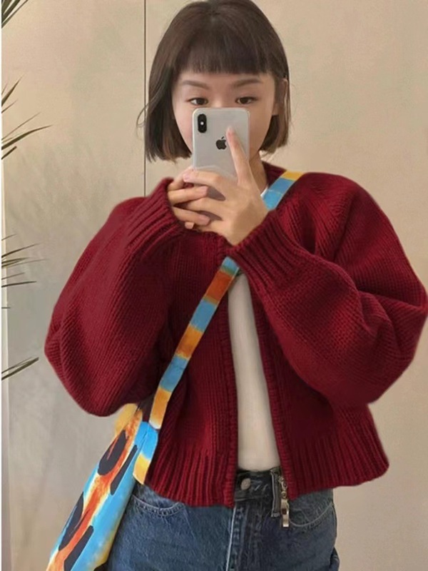 2025秋冬新款宽松灰色短款毛衣外套女装加厚拉链长袖针织开衫上衣|undefined