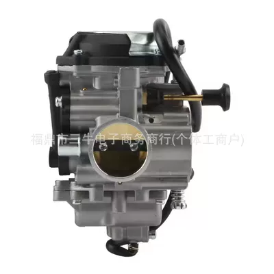 Tracker 250 Yfm250 – Carburetor