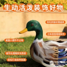 仿真羽毛鸭子摆件套装 绿头鸭 + 柯尔鸭家居装饰