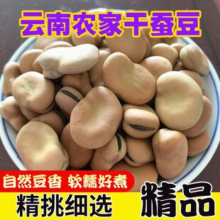 ����خa���Q����؛���Q�����Q��������Ƥ�_�h���߮a�N�Ӱlѿ��