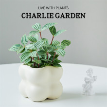 ݆�~����G�k������X�������ҿ͏d�������ԃ����՚⹤λ�Gֲ���B