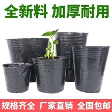 �I�B�����籭һ���Ժ�ɫ�I�B���������̖���Nֲ����������I�B��