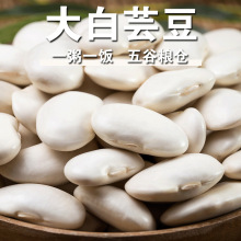大白芸豆现货新货白云豆白腰豆雪豆粥类黄豆搭配豆浆食材 大白豆f