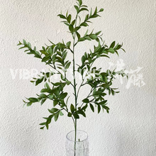 ����~����Gֲ��Y�õ�픈@ˇ�b����ՔzӰֲ��·���ҾӲ��ü��~