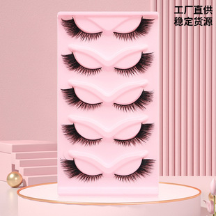 DINGSEN�ٽ�ë�� ��؛Դ����؈��б�w�۽�ë�W����5��10����ë