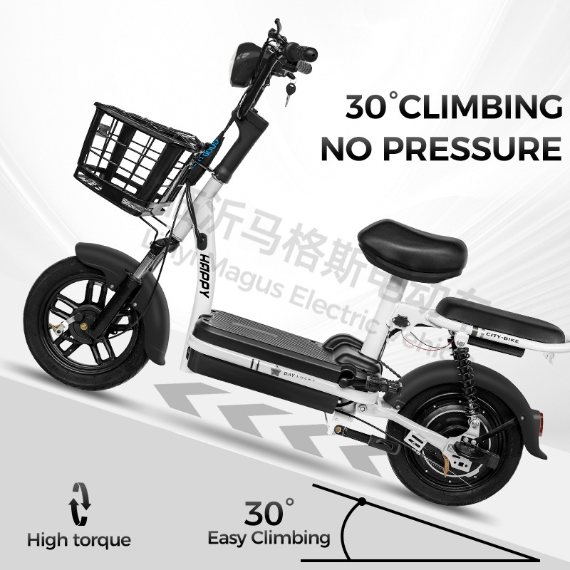 Fabricante de automóviles eléctricos príncipe venta directa bicicleta eléctrica para adultos coche de batería doble bicicleta de dos ruedas de alta duración