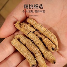��ș�� �����500�˽y؛ �ͼ��� ȥ�İ���� �o����Ʒ�؃r���]