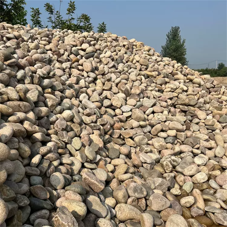 鹅卵石河卵石鱼池垫底工程铺路造景园林庭院装饰鹅卵石