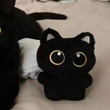 �Y��ɐ�ë�qС��؈���В���ٴ�����耳׿ے쉋������ؔ�M��