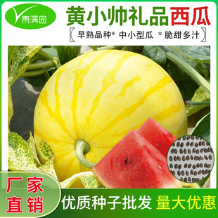 �SƤ���ϷN���SƤ�tȿ�t��N�������S����С���ϷN���ļ��̨ͥԺ