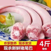 4riβLβͶβrɢBi⎧Ƥ