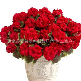 �羳�������ÿ��tɫ �羳���Ļ��ٻ��[�������b� �羳����ٻ�
