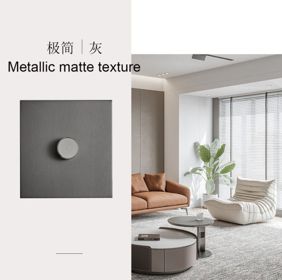 Type 86 Concealed Light Luxury Modern Style Stainless Steel Pole Wall Switch Socket Panel One Open Five Hole Factory Export