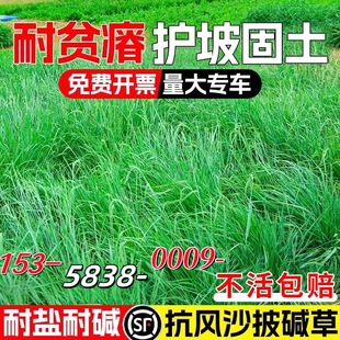 ���������|�ݲ����o�¹������Lɳ���}���|��â����ݱ����|é�N��