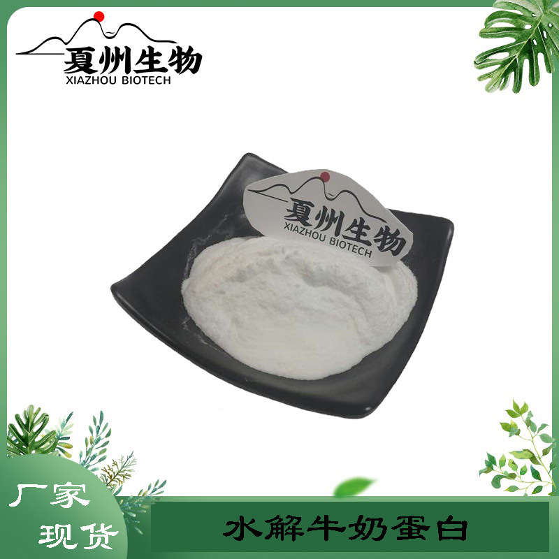 水解牛奶蛋白 牛奶提取物 牛奶蛋白粉 夏州生物优质供应 kg装