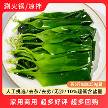 【商用批发】霞浦特产海带嫩苗5斤非干货新鲜芽菜苗火锅食材