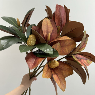 2�^��֦���m�~ ���滨�پGֲ��c�廨ܛ�b�쾰�m���~�ָб���Ҿ�