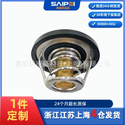 Suitable for Opel\Daewoo\Ford\Chevrolet thermostat OE:90200836 1338052 (Thermostat)