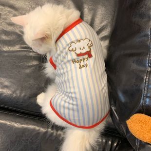 ������؈���·�����͸��o���������ʽ����ë�ɐۿ��{����Ó