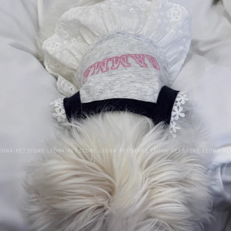 Mascotas primavera y verano encaje princesa estilo tirantes vestido delgado peluche bichón perro pequeño perro gato ropa