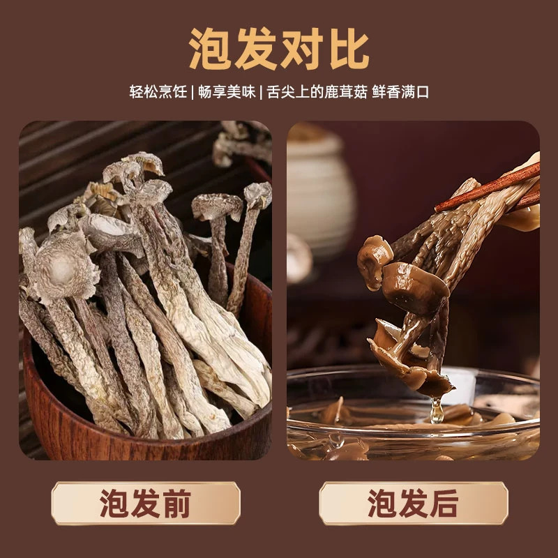 鹿の角キノコ乾物 500g 雲南特産 サクサクキノコ袋材 栄養スープ 50g|undefined