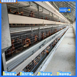 厂家批发全自动化捡蛋喂料蛋鸡设备/养鸡设备小层叠 支持出口全国