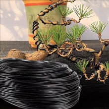 �辰�������z�_�h�������X���@�֘������Ͷ������F�zܛ�X�z�@ˇ��