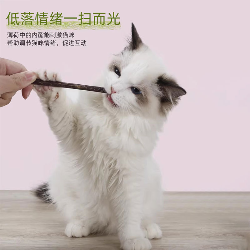 猫咪磨牙棒木天蓼成幼猫洁齿自嗨解闷猫草薄荷逗猫棒玩具猫咪零食
