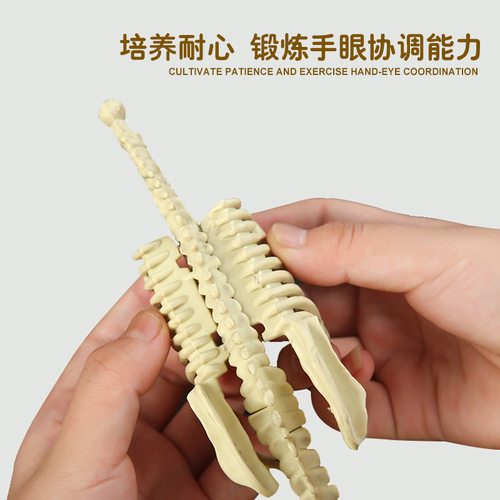Dinosaur Fossil Tyrannosaurus Rex Skeleton Model Children's DIY Craft Digging Gemstone Boy Archaeological Excavation Toy 