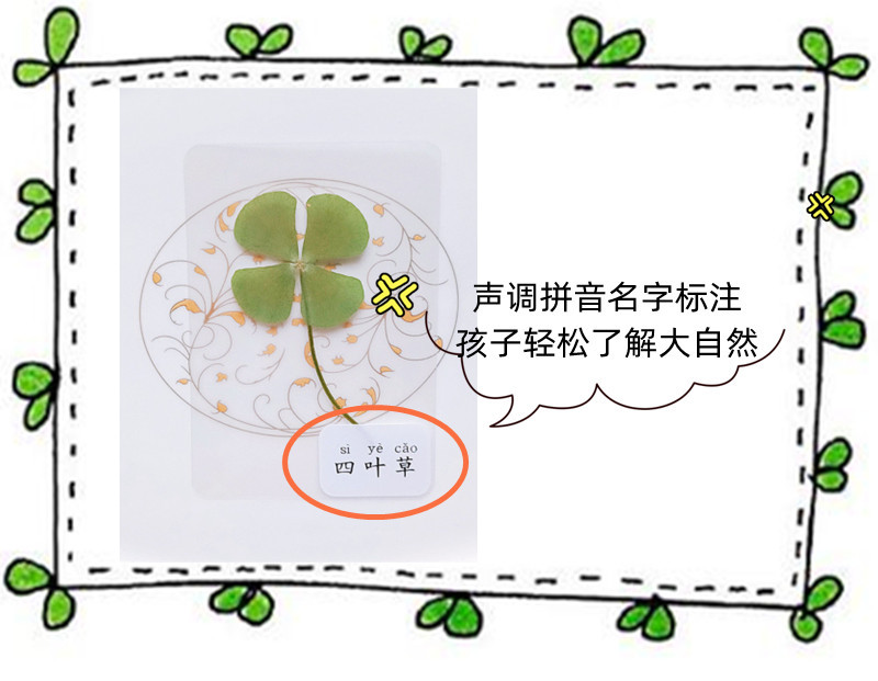 u=2488688737,1863014991&fm