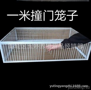 ����\����ֻ�M�������ӻ\���ӻ�jײ�T�\�Ԅ��������ӻ\��������