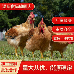 ���ώX�ϻʾƵ�ʳ�ĬF�����r�u����������l؛1-1.5�����ۻ��u