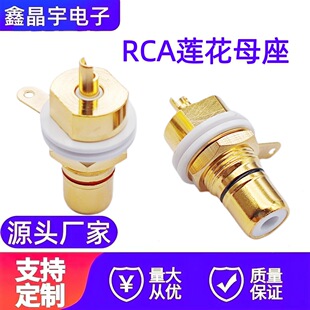 ���~僽�RCAĸ�� RCAɏ������ĸ�^���řC�� �l��������푹���