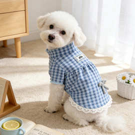 嗨凯蒂蓝白格子宠物打底衫薄款蕾丝花边猫咪衣服小型犬狗狗秋装