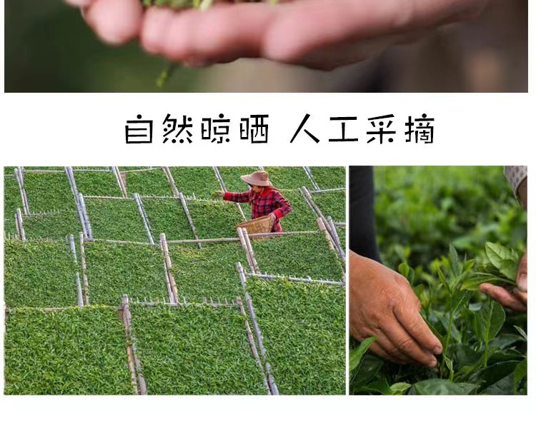 微信图片_202210271130441