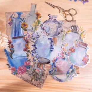 ���õ�һ��PET�N���� ƿ������ϵ�� ֲ���֎�DIY�b��N��20�� 6��